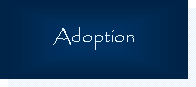 Text Box: Adoption