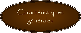 Oval: Caractristiquesgnrales