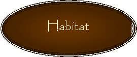 Oval: Habitat